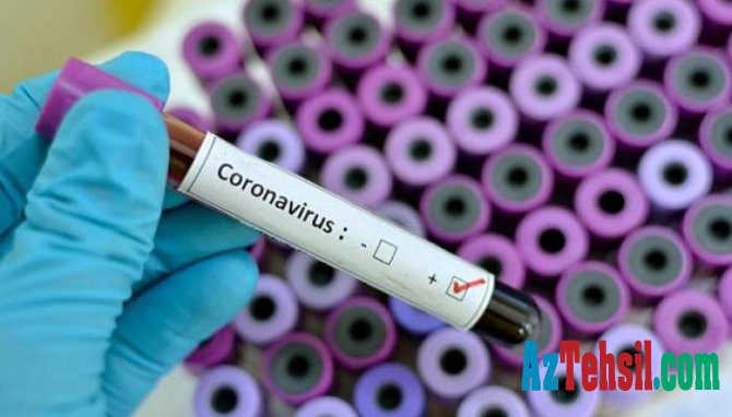 Alimlər koronavirusun “zəif nöqtəsini” tapdılar