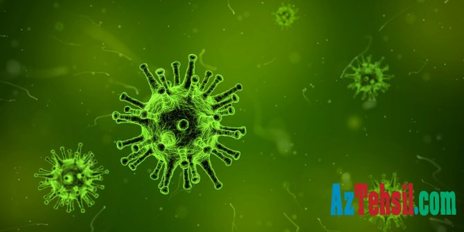 Fransalı professor Azərbaycanda koronavirusun zəif yayılmasının səbəblərini açıqlayıb